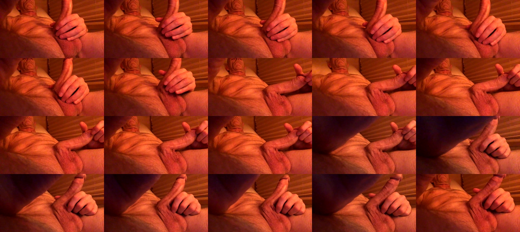 oralzoo09  23-02-2023